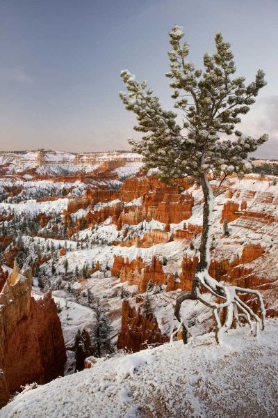 Utah, View of Bryce Canyon in winter